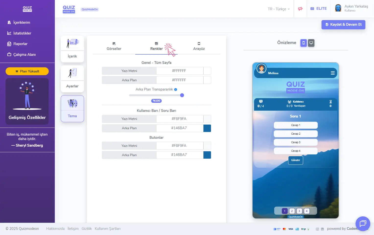 anket oluşturma - tema editörü - renkler